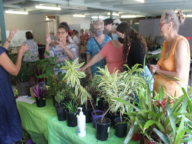 Plant Sale bonanza