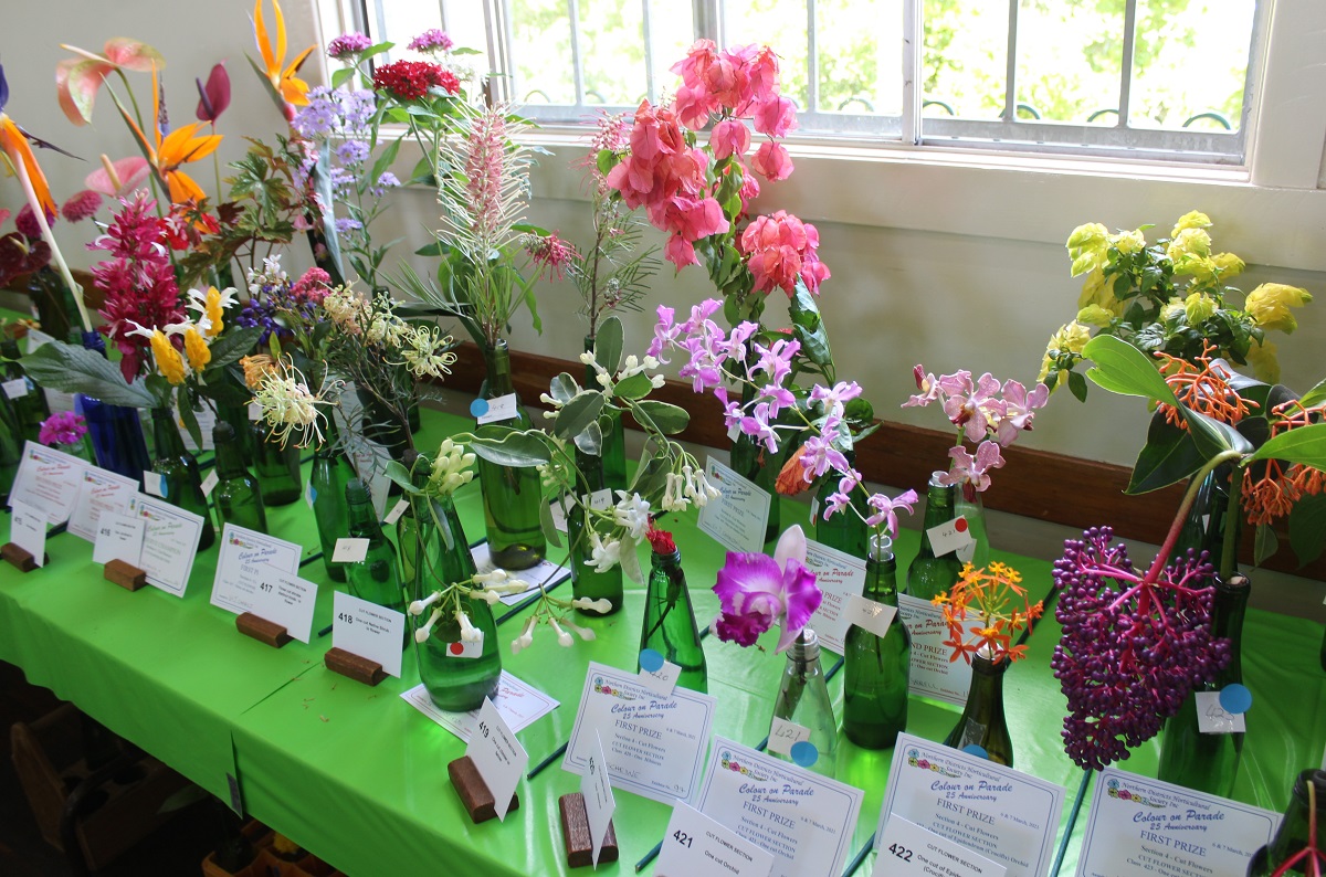 Northern District Horticultural Society, Inc. Colour on Parade