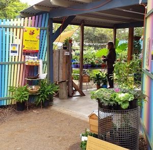 cityfarmnursery