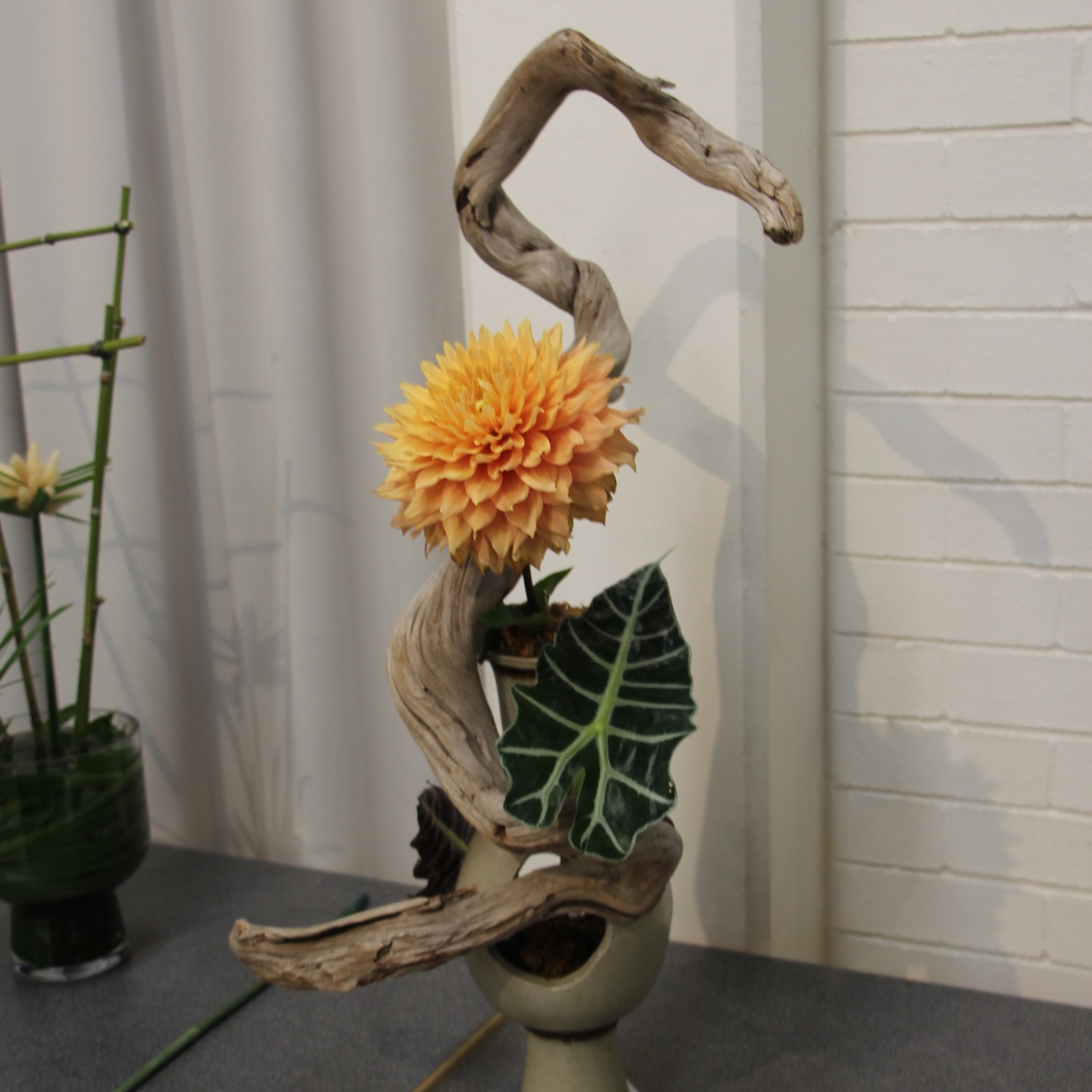 pff_25_IMG_0230w